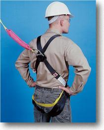 Harness Lanyard Combo